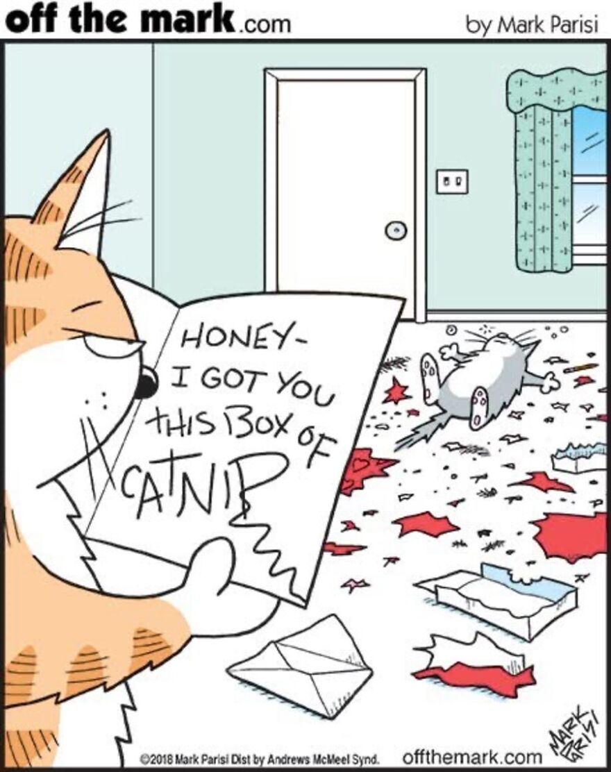 Cats Turn Everyday Chaos Into Comedy In These 36 New Cartoons By Mark Parisi
