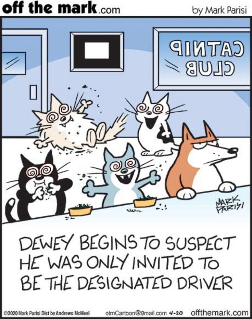 Cats Turn Everyday Chaos Into Comedy In These 36 New Cartoons By Mark Parisi