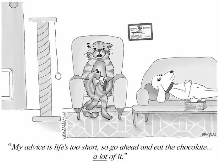 40 Single-Panel Comics Where Everyday Life Takes A Hilariously Absurd Turn