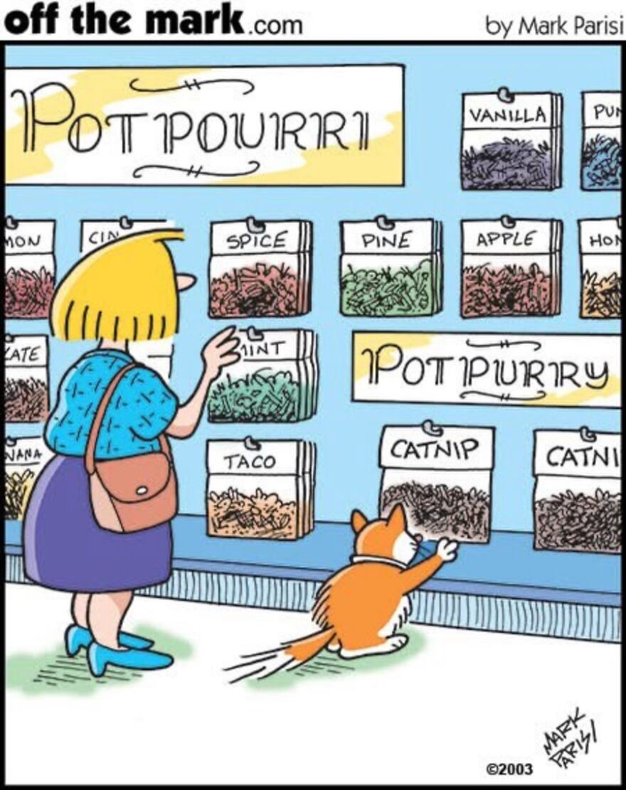 Cats Turn Everyday Chaos Into Comedy In These 36 New Cartoons By Mark Parisi