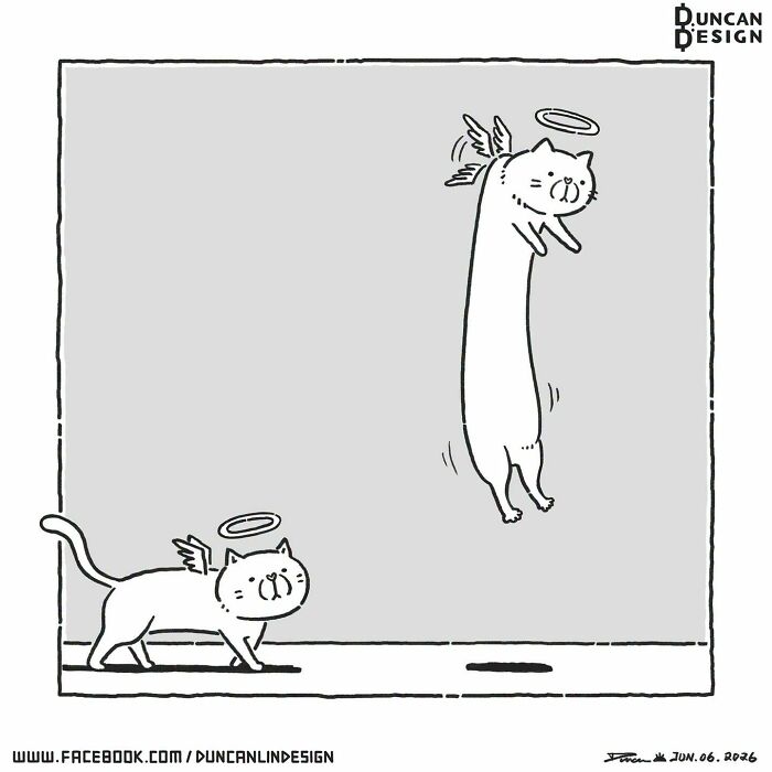 A relatable comic about everyday life revelations showing two cats with halos and wings, one long and floating, the other on the ground.