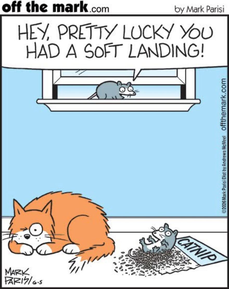 Cats Turn Everyday Chaos Into Comedy In These 36 New Cartoons By Mark Parisi