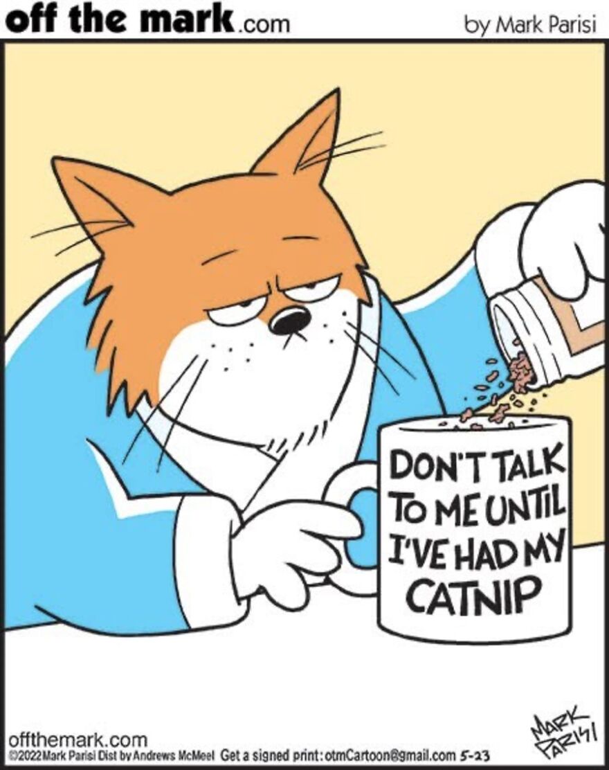 Cats Turn Everyday Chaos Into Comedy In These 36 New Cartoons By Mark Parisi