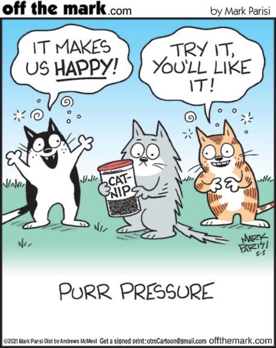 Cats Turn Everyday Chaos Into Comedy In These 36 New Cartoons By Mark Parisi