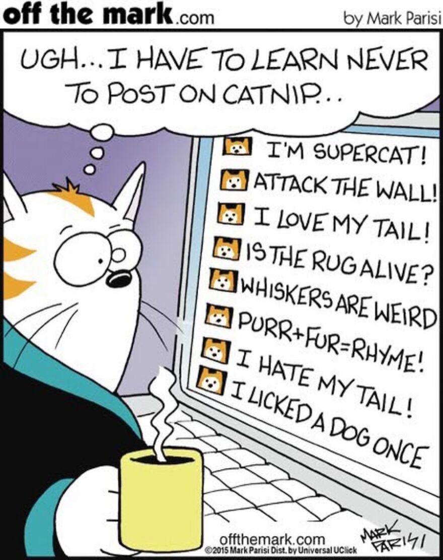 Cats Turn Everyday Chaos Into Comedy In These 36 New Cartoons By Mark Parisi