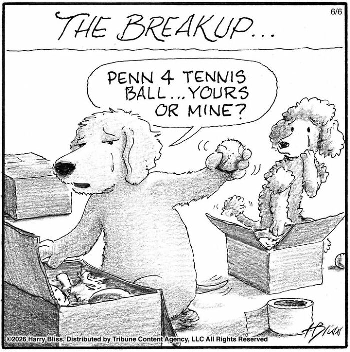 A Harry Bliss dog comic showing two dogs during a breakup, one holding a tennis ball.