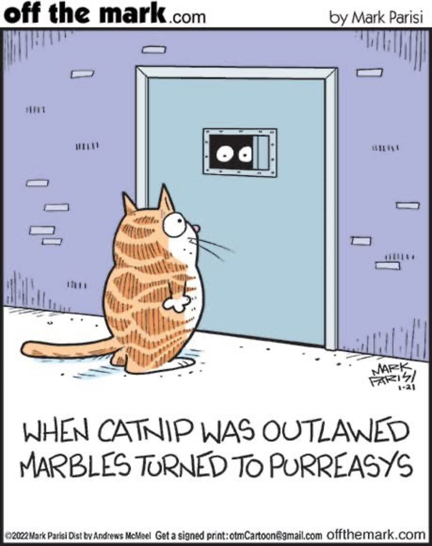 Cats Turn Everyday Chaos Into Comedy In These 36 New Cartoons By Mark Parisi