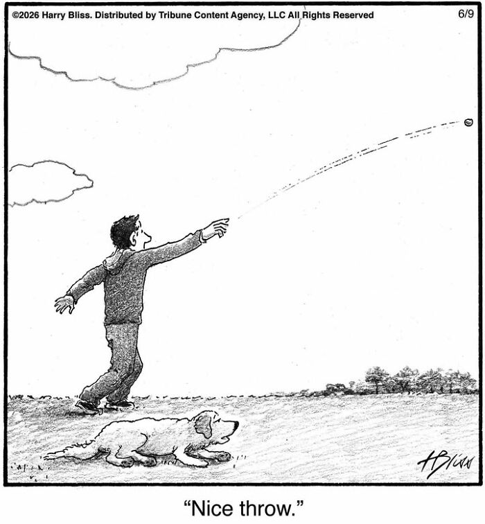 A Harry Bliss dog comic depicting a person throwing a ball for their pet, which is lying on the ground.