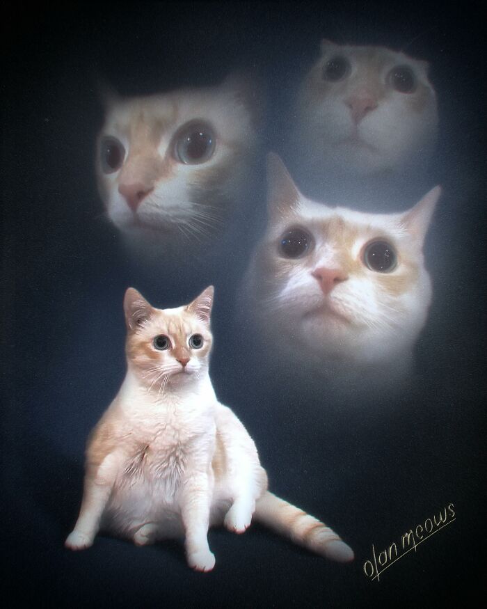 A cream-colored cat sitting with three ghostly cat faces in the background in an 80s portrait treatment. Hilarious pet portraits.
