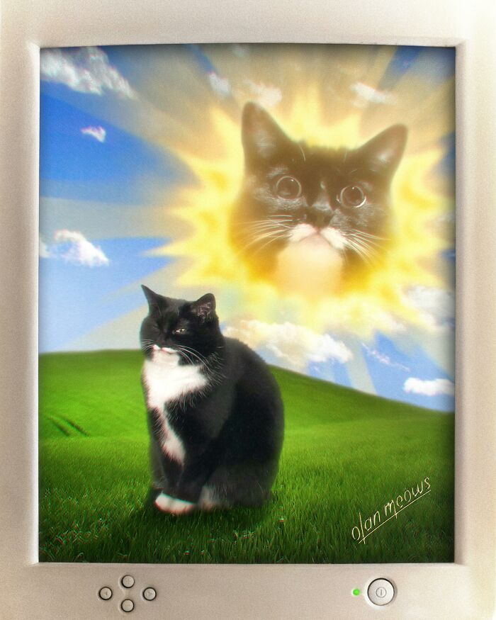 A black and white cat sitting on a green hill with a sun-like cat face in an 80s portrait treatment. Hilarious pet portraits.