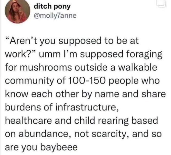 A LinkedIn meme from ditch pony questioning traditional work, advocating for a community-based lifestyle and work-life balance.
