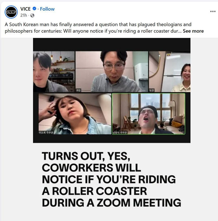 A LinkedIn meme from a Zoom meeting where a man rides a roller coaster, showing work-life balance struggles.