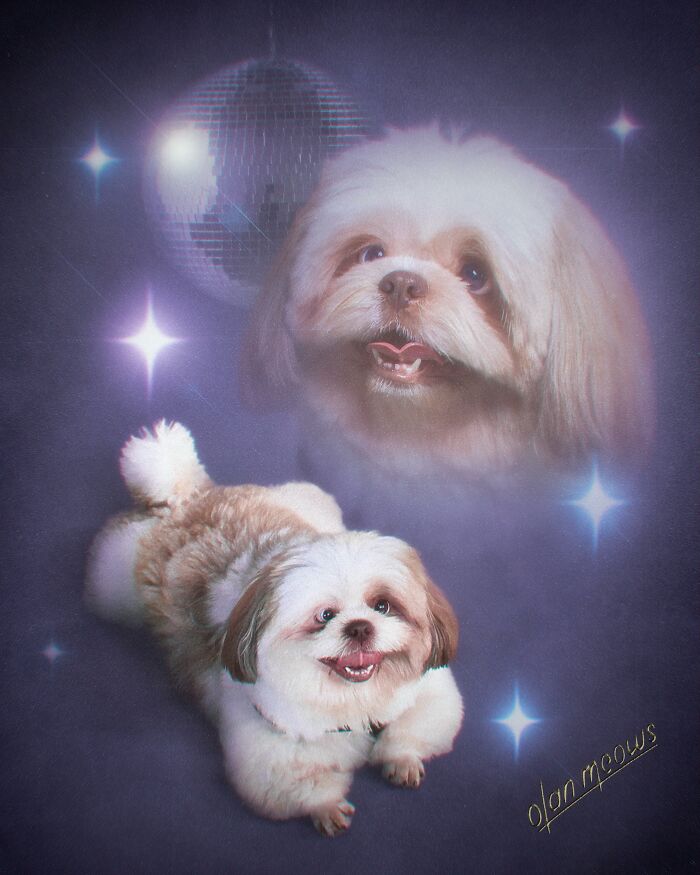 Hilarious 80s portrait of a shih tzu dog with a disco ball background, giving pets an over-the-top treatment.