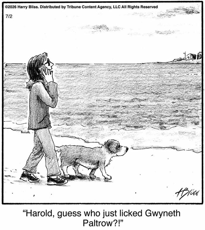 A Harry Bliss dog comic showing a woman on a phone call while walking her pet on the beach.