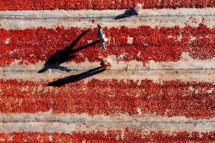 Murat Bakmaz captures the beauty of everyday life: Two people working on a field of drying red peppers from an aerial view.