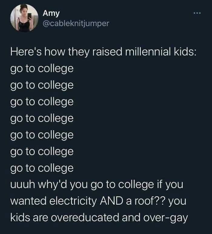 A LinkedIn meme showing a text about millennial kids, college, and work-life balance.