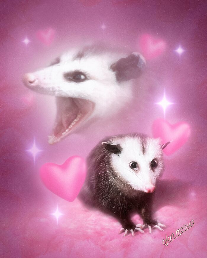 Funny 80s portrait of an opossum surrounded by hearts, showcasing hilarious pet treatment.