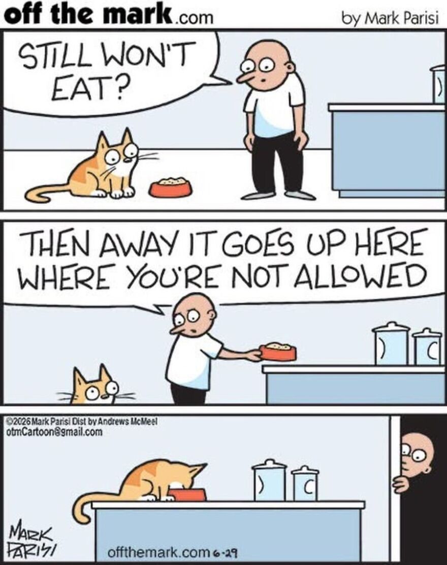 Cats Turn Everyday Chaos Into Comedy In These 36 New Cartoons By Mark Parisi