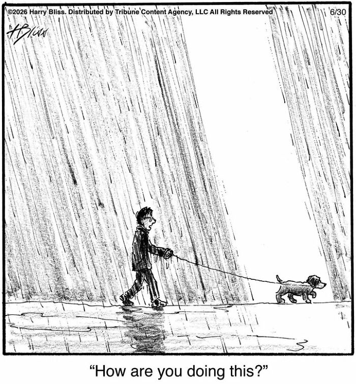 A man walks his small dog in heavy rain, both looking surprised in a Harry Bliss dog comic.