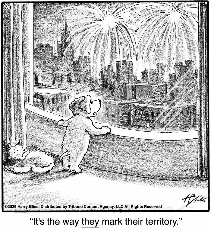 A dog stands on a balcony, looking at fireworks over a city skyline in a Harry Bliss dog comic.