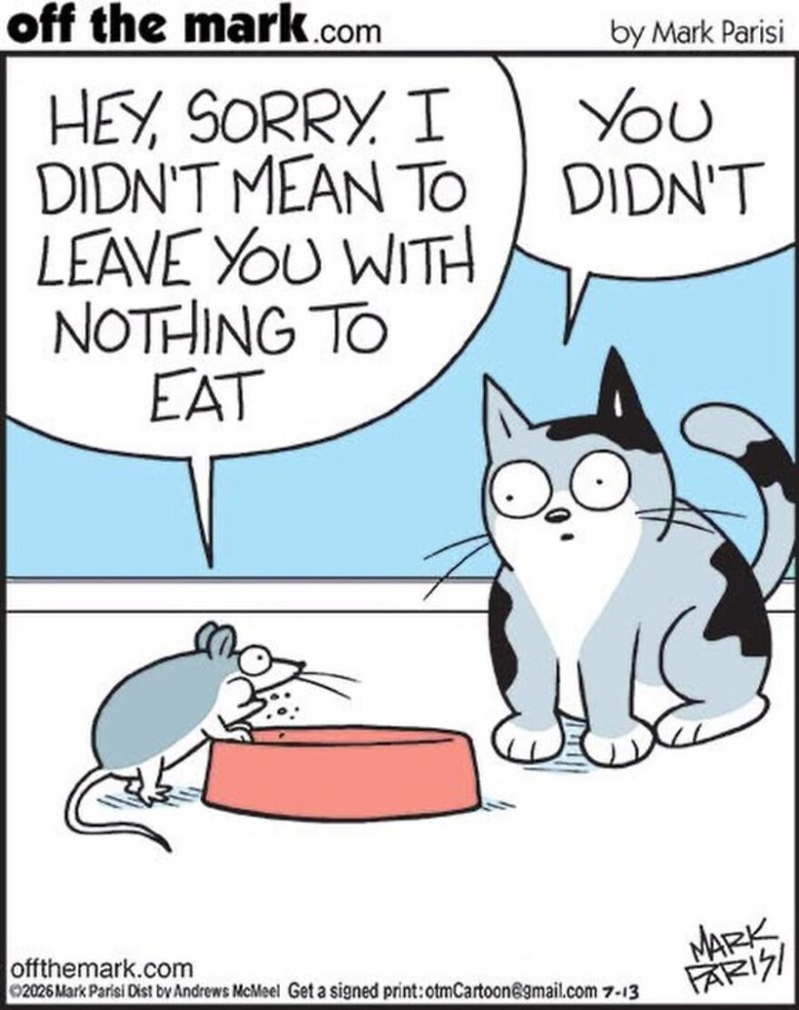 Cats Turn Everyday Chaos Into Comedy In These 36 New Cartoons By Mark Parisi