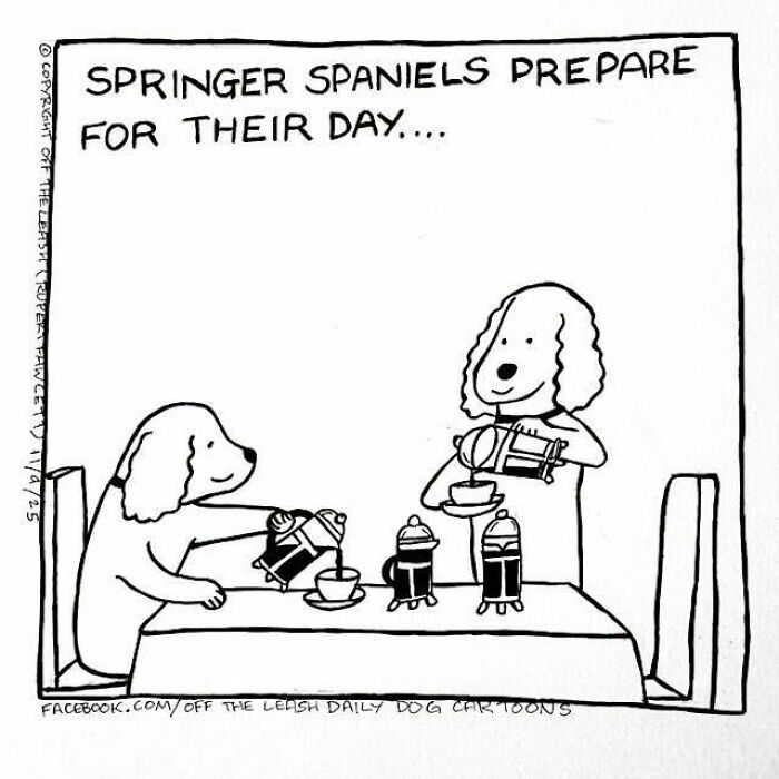 Off The Leash comics featuring two Springer Spaniels preparing for their day by pouring coffee at a table, highlighting life with dogs.