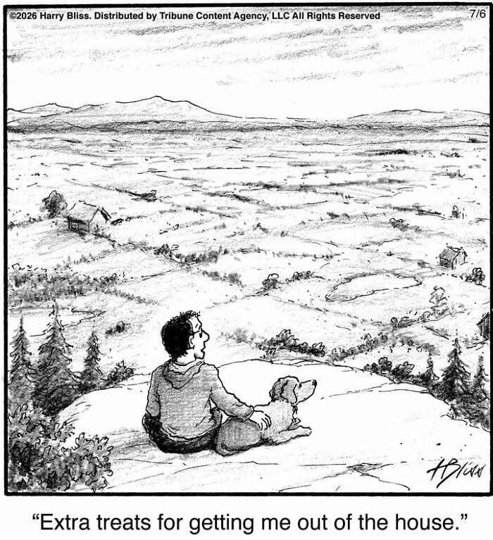 A man and his dog sit on a rock, overlooking a vast landscape in a Harry Bliss dog comic.