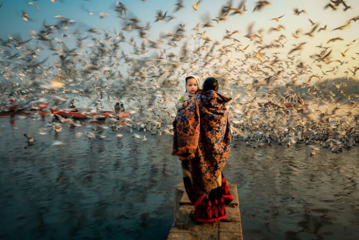 Murat Bakmaz captures the beauty of everyday life, featuring a parent holding a child surrounded by a flock of birds.