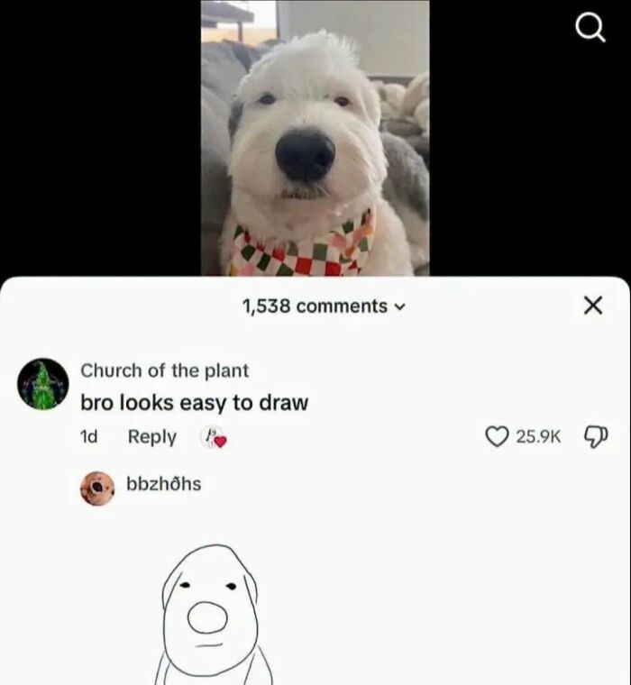 A funny animal encounter featuring a fluffy white dog and a humorous doodle of the dog, with a comment section.