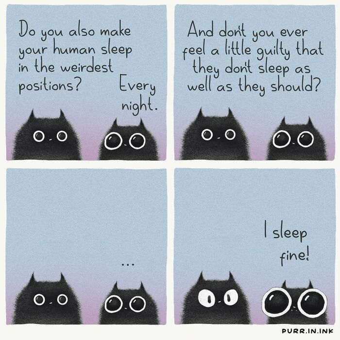 Adorable illustrations of two black cats discussing human sleep positions, a humorous take on everyday cat behavior.