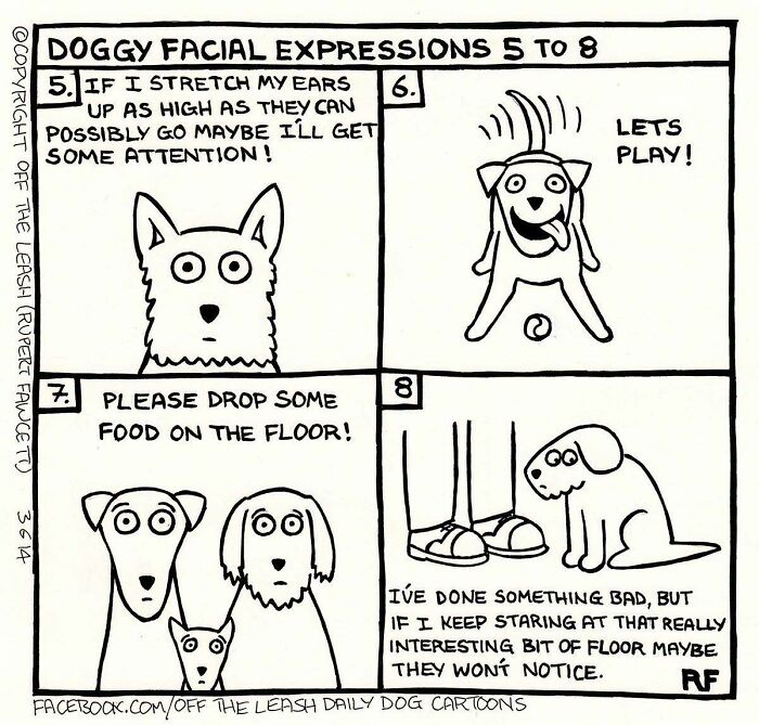 Off The Leash comics showing funny dog facial expressions, like stretching ears for attention, playing, begging for food, and pretending innocence.