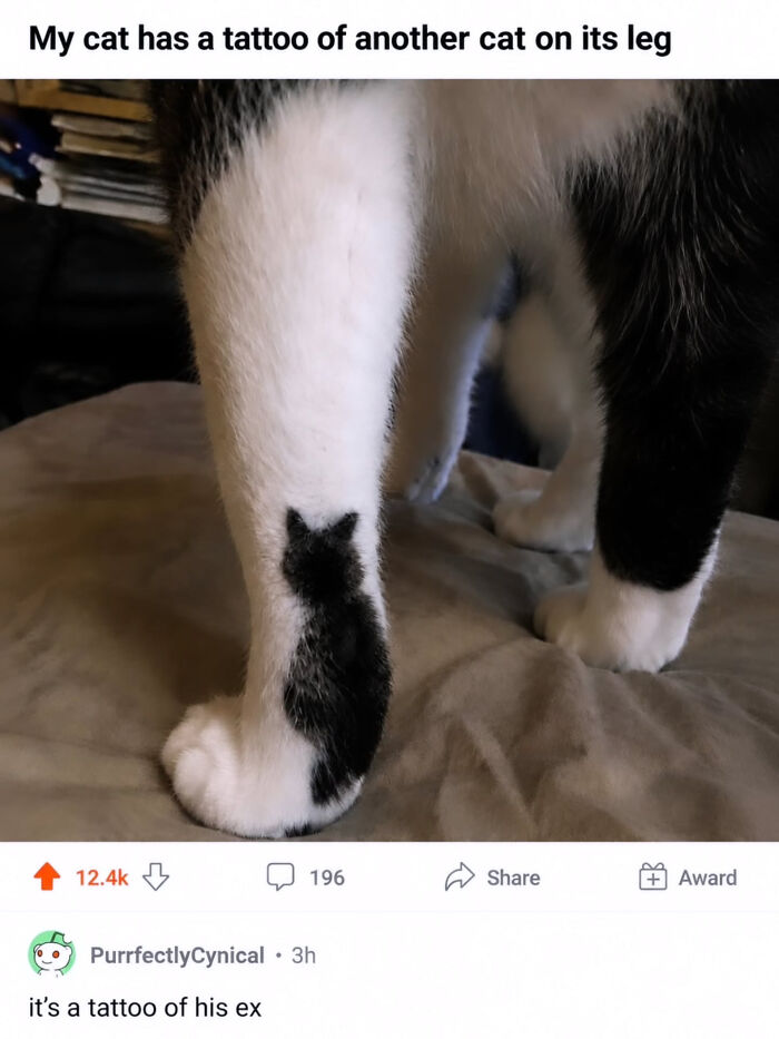 A close-up of a black and white Cat-Memes's leg, showing a black cat-shaped tattoo on its white fur.
