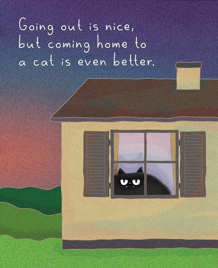 Adorable illustration of a black cat peeking from a window, depicting cat behavior and the joy of coming home to a cat.