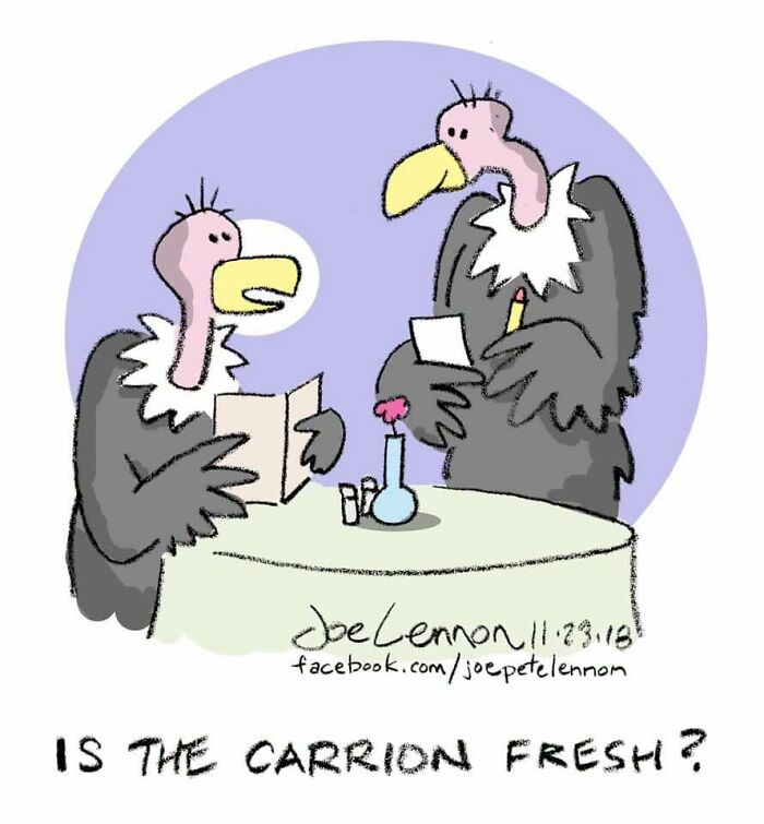 Joe Lennon comic depicting two vultures at a restaurant, proving life's tiny awkward moments are funny.