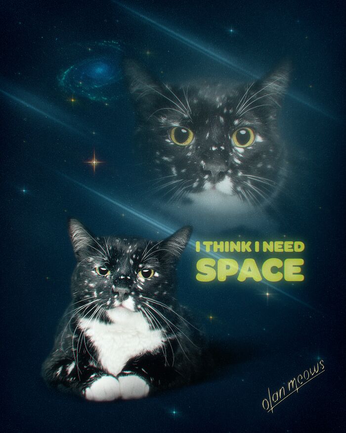 Over-the-top 80s portrait of a black and white speckled cat against a space background with glowing text.
