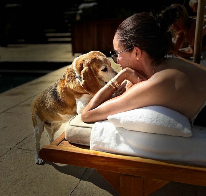 Meghan Markle with her dog by the pool, details in her birthday post sparking fan comments. Meghan Markle with her dog by the pool, details in her birthday post sparking fan comments.