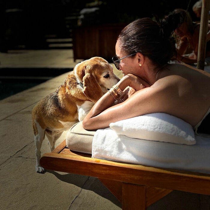Meghan Markle with her dog, a beagle, showing affection. Meghan Markle with her dog, a beagle, showing affection.
