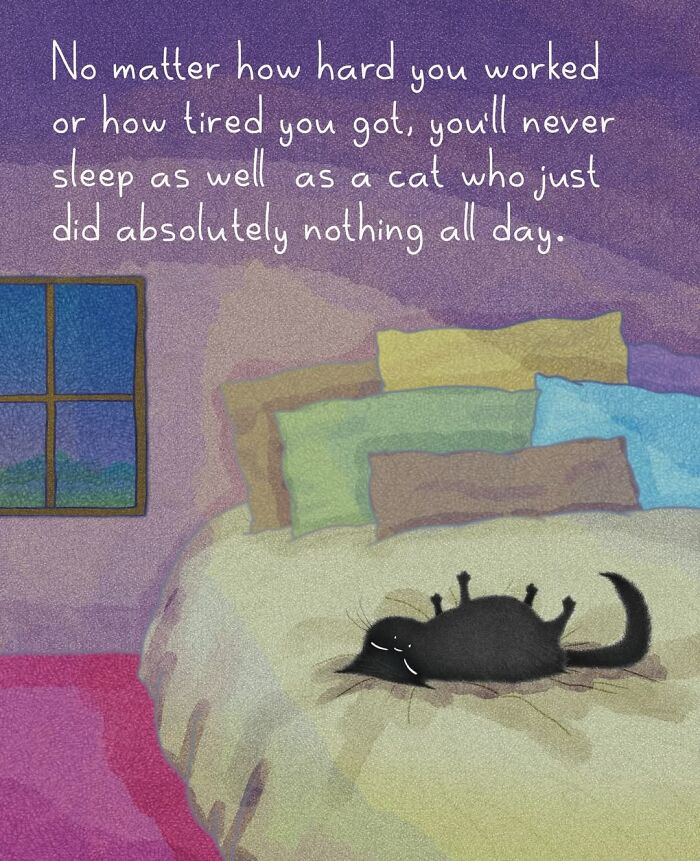 Adorable illustrations of cat behavior, with a black cat character sleeping soundly on a bed surrounded by pillows, showcasing lazy cat behavior.