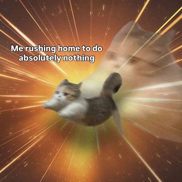 A cat meme showing a tiny cat flying through a bright, streaking background, representing rushing home to do nothing, a cat meme.