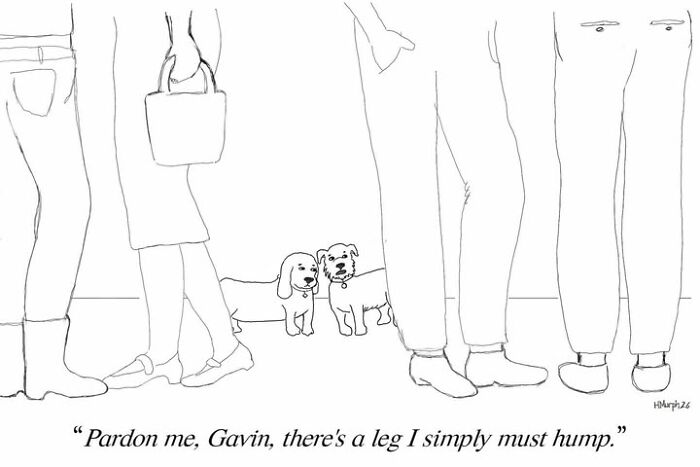 40 Single-Panel Comics Where Everyday Life Takes A Hilariously Absurd Turn