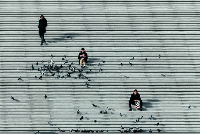 Murat Bakmaz captures the beauty of everyday life, people and pigeons on a striped stairway.