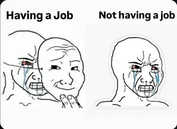 LinkedIn meme about work-life balance: a wojak meme showing the struggles of having a job versus not having a job.