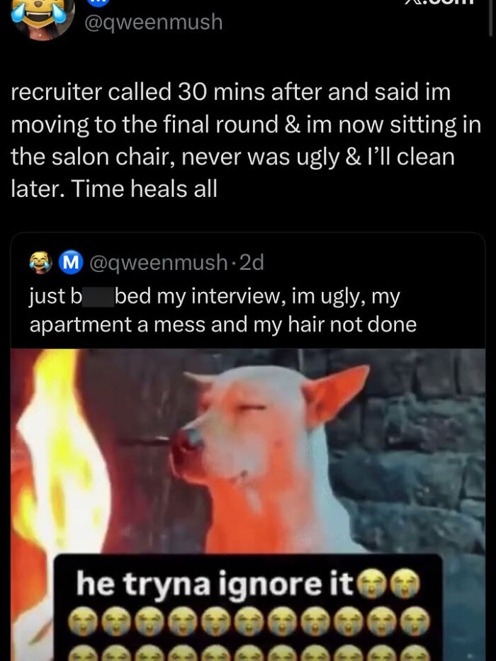 A funny meme showing a dog trying to ignore a fire, illustrating a tweet about job interview success.
