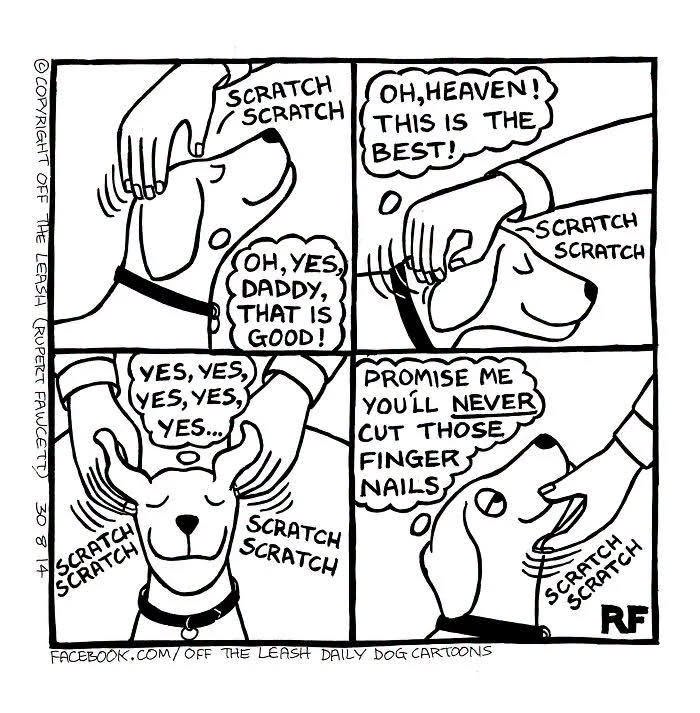 Off The Leash comics depicting a dog enjoying a head scratch.