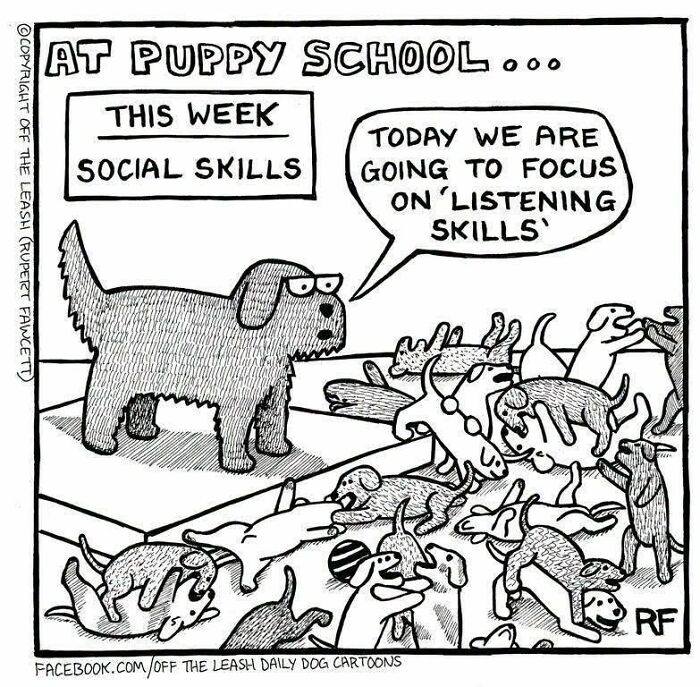 Off The Leash comics showing a dog teaching social and listening skills to other playful dogs at puppy school.