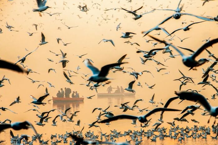 Murat Bakmaz captures the easily missed beauty of everyday life, with numerous birds flying over water and boats.
