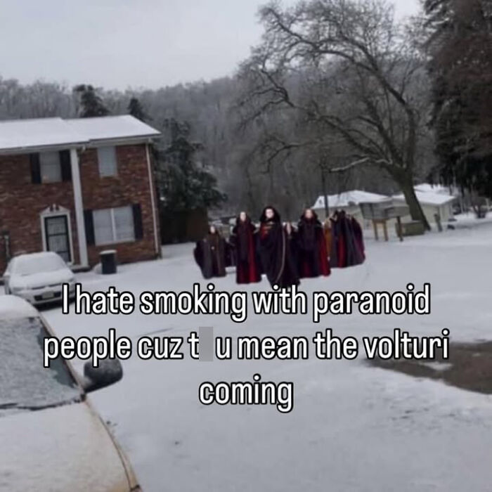 A funny meme with robed figures in a snowy neighborhood, resembling the Volturi, and text about paranoid people.