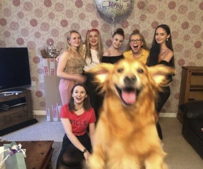 50 Perfectly Timed Animal Photos From This Online Collection That Are Almost Too Good To Be True