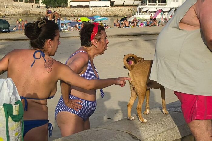 A photographer captures a funny moment of people at the beach, one pointing at a dog.