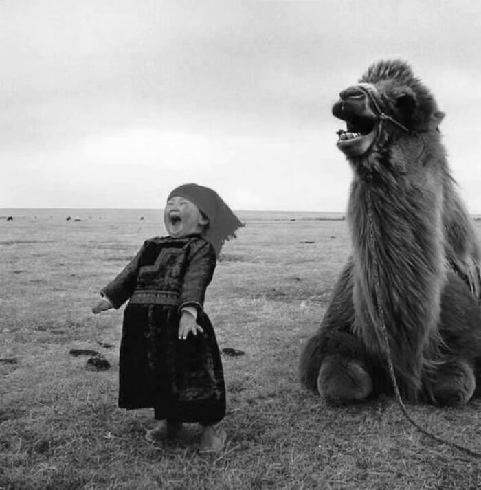 A photographer captures a funny moment of a child laughing with a camel.